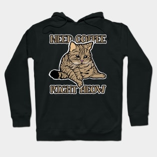 Need Coffee Right Meow Hoodie